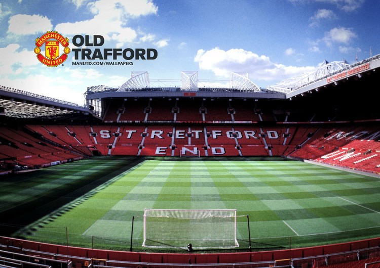 能和团队协 能和团队协