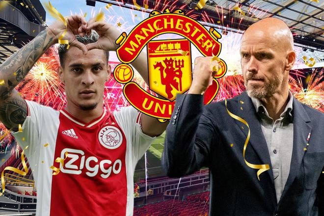 嗅觉和强大 嗅觉和强大